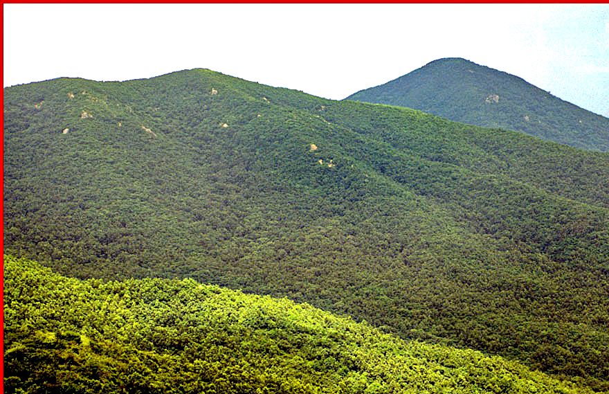 1997-21.053 - Chogyesa - view from the ridge - (Photography by Karsten Petersen)