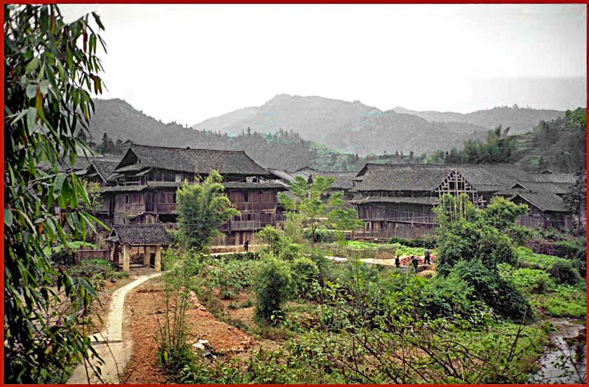 Film-3 Frame-19  - Dong Village Here a good view of the huge wooden houses. This picture is from the village Yan  -  (Photo- and copyright: Karsten Petersen)