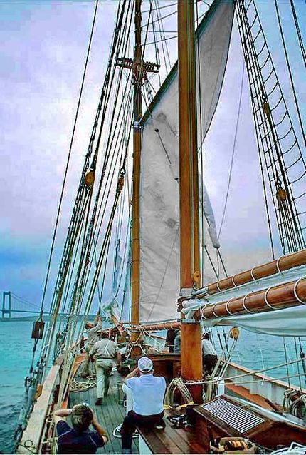 Sails up!  The sea trial starts - --