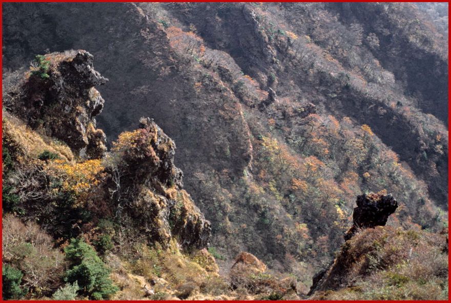 1991-10-055 - Hallasan Strange volcanic rocks along the trail - - (Photography by Karsten Petersen)