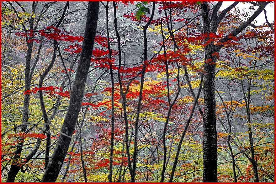 2000-34-076 - Chiaksan - through an autumn wonderland - (Photography by Karsten Petersen)
