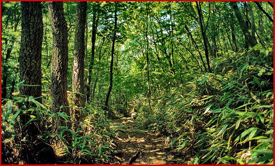 1997-21-049 - One of the mountain trails up Changgunbong - (Photography by Karsten Petersen)