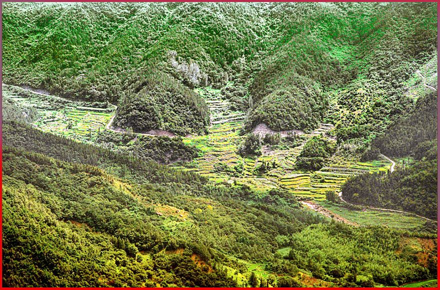 1997-21-057 - - and a view down to the rice paddies in a beautiful valley below - - (Photography by Karsten Petersen)