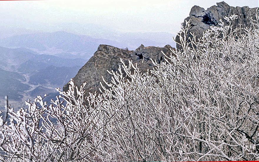 1996-19-077 - Kayasan  - and more ice flowers - (Photography by Karsten Petersen)