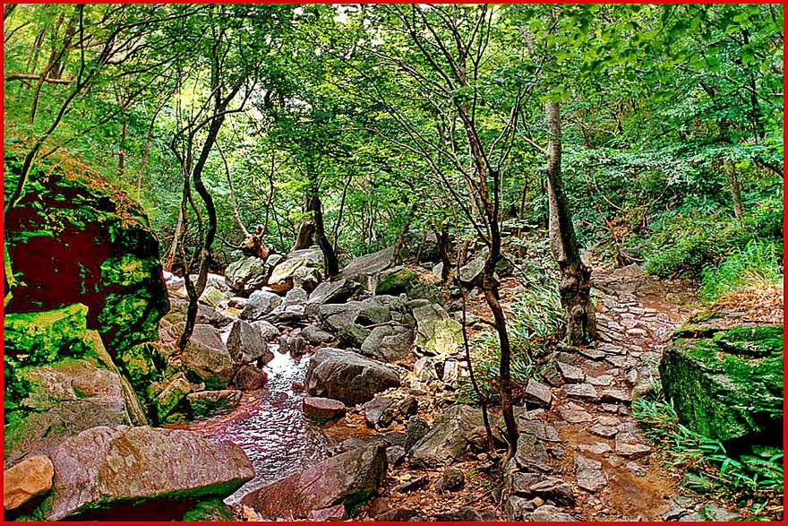 1997-18-022 - Kyeryongsan - on the trail - (Photography by Karsten Petersen)