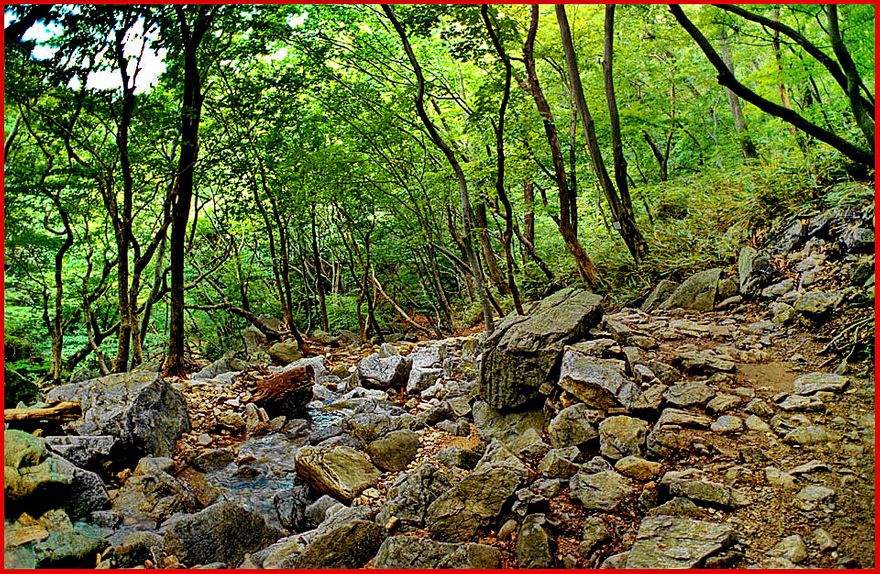 1997-18-009 - Kyeryongsan - the trail to the valley below and the Kapsa temple - (Photography by Karsten Petersen)