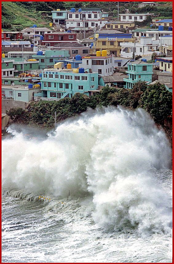 1997-22-062 - Hongdo - giant waves hit the shore, and shrouds village Il-gu in foam after the typhoon - (Photography by Karsten Petersen)
