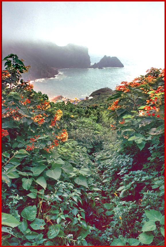 1997-22-068 - Hongdo - Il-gu Bay in mist -  - as seen from the trail down from Yangsanbong mountain - (Photography by Karsten Petersen)
