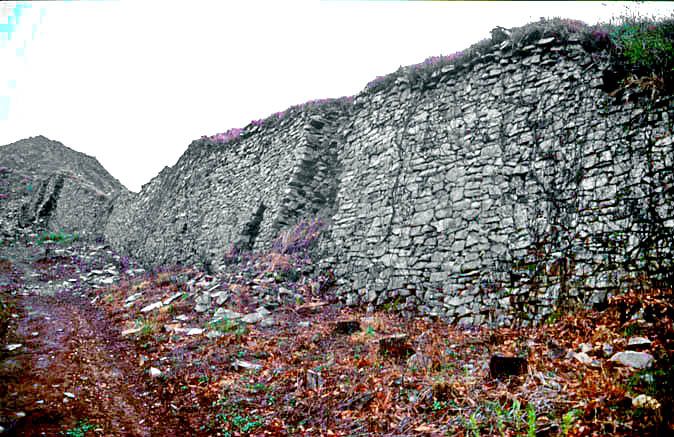 In front of these old walls, the Paekche army suffered a chattering defeat.  This event was the end of the mighty Paekche Kingdom - - -