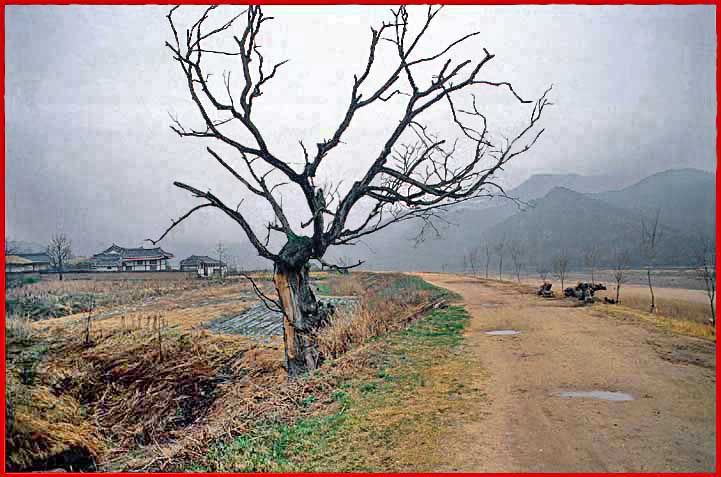 1996-29-053  - On the road to Hahoe - - -