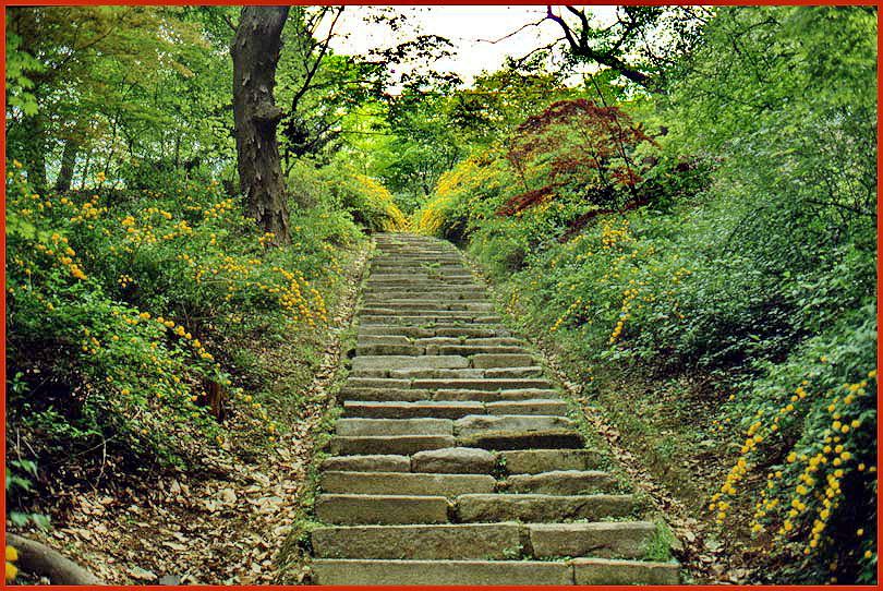 1991-04-090  - Stairs in the 