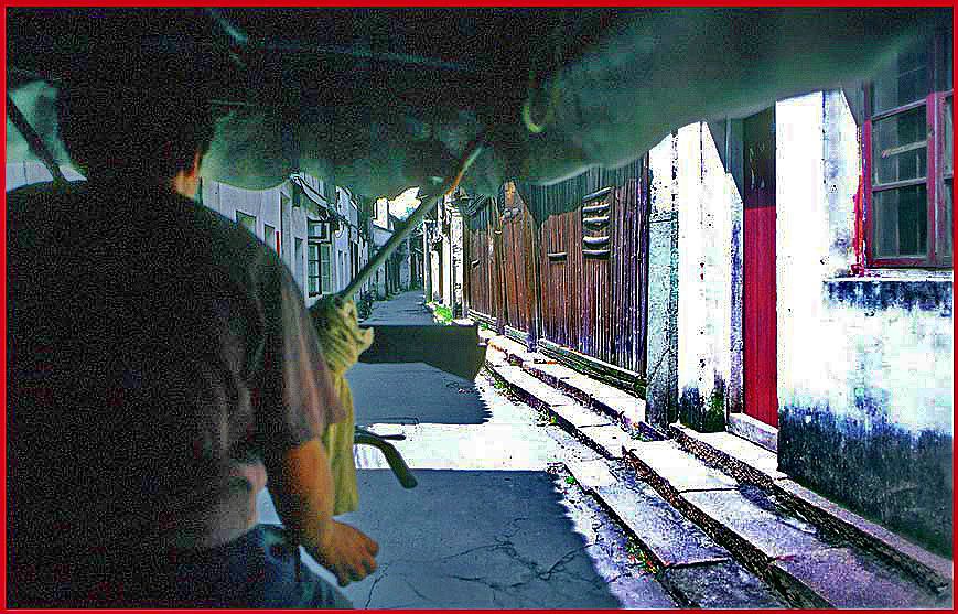And here we are sitting in our motor-bike-taxi- exploring old Wuzhen - - -  When lunch time came around, we invited the driver to join us, - and then started the ususl stuffing of bellies with delicious dishes - one after the other - - -