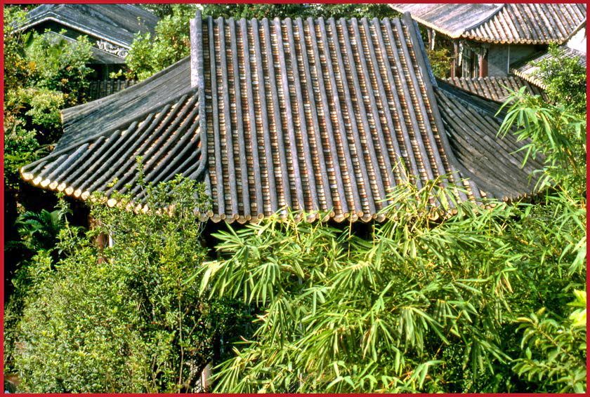 2003-12-024  - Chinese roofs - typical Chinese - from the Ching Hui Yuan garden in Shende - - -  Photo & Copyright: Karsten Petersen