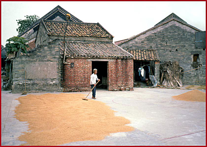 2003-14-028  - Village Shen Chun -many traditional houses - and rice being dried on the road - - - (Photo- anD copyright:  Karsten Petersen)
