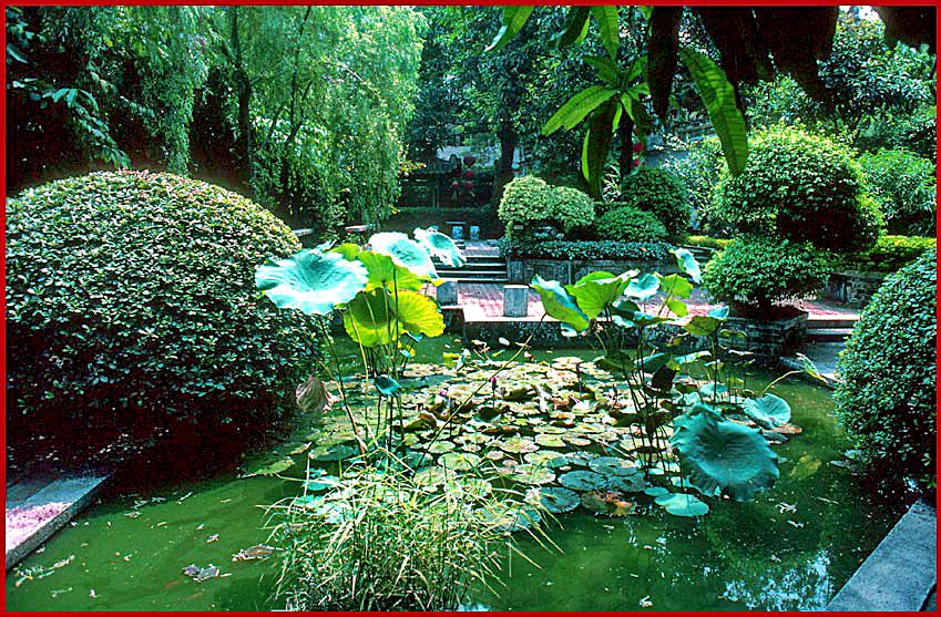 2002-23-V48  - a lotus pond in all shades of green - (Photo- and copyright:  Karsten Petersen)