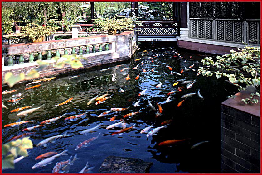 2003-12-48  - Ching Hui Yuan Garden -  (Photo- and copyright:  Karsten Petersen)