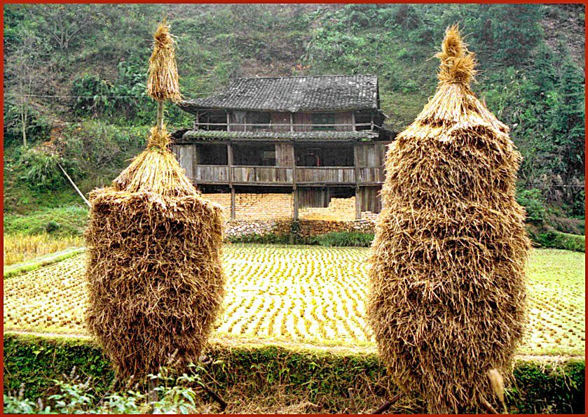 Film-3 Frame-18  - Dong Village - with rice field and rice straw - (Photo- and copyright: Karsten Petersen)