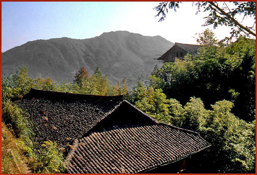 2003-17-025  - Ping An  - roofs and bamboo - (Photo- and copyright: Karsten Petersen)