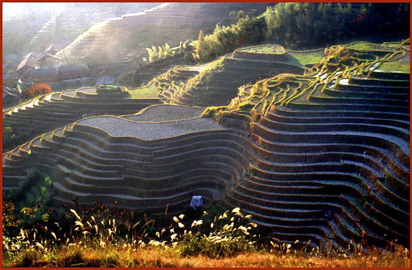 2003-17-011  - Ping An - and here the terraces at late afternoon - (Photo- and copyright: Karsten Petersen)