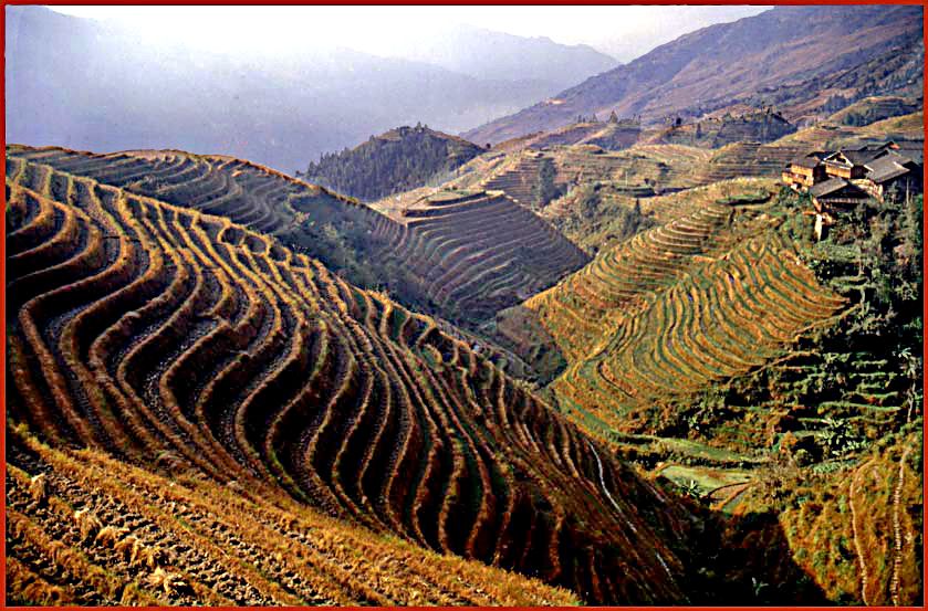 2003-17-050  - Ping An - and rice terraces- (Photo- and copyright: Karsten Petersen)