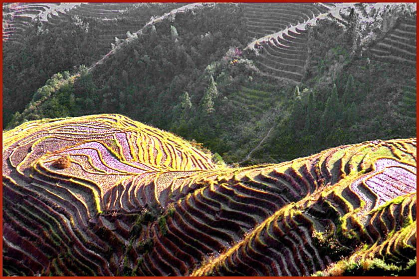2003-16-024  - Ping An - more rice terraces - (Photo- and copyright: Karsten Petersen)