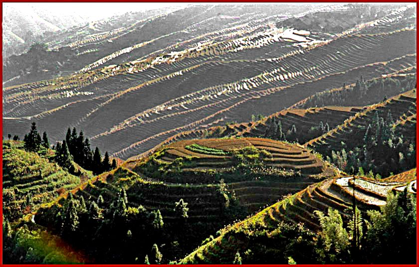 2003-16-026  - Ping An - the rice terraces on the slopes of the 