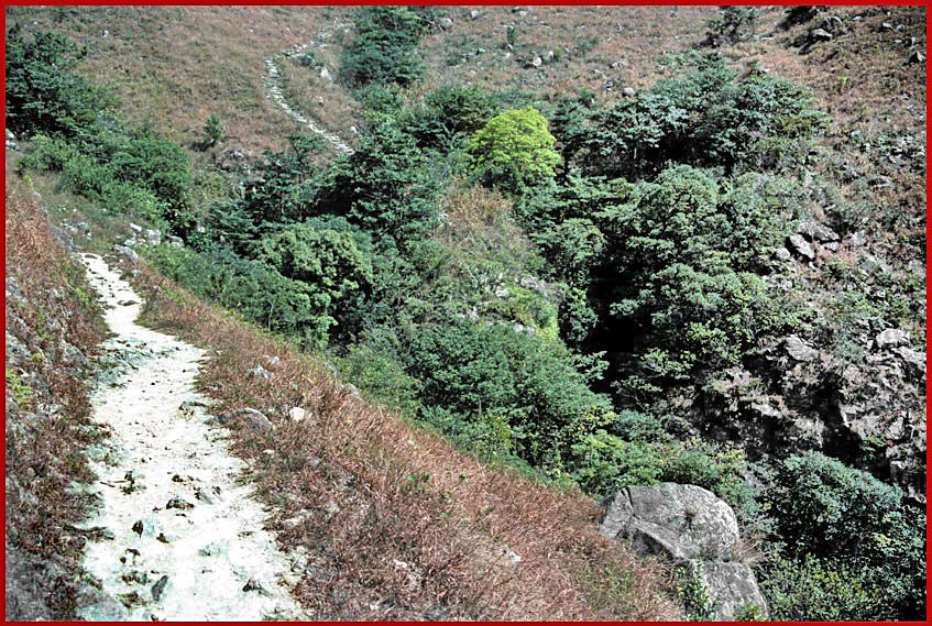 1996-05-041  - Fung Wong Shan - and a look down along the trail - (Photo- and copyright: Karsten Petersen)