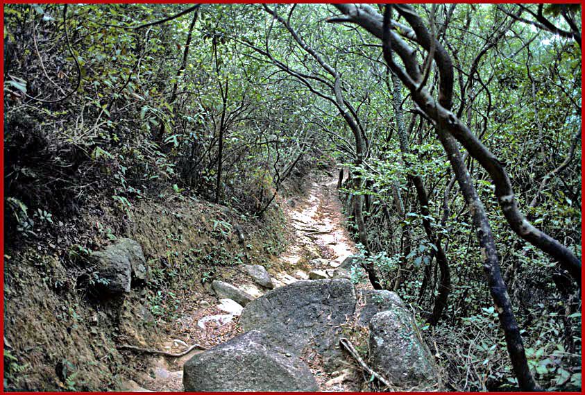 1997-02-067  - Lion Rock Country Park - on the trail down from Lion Rock to Amah Rock - (Photo- and copyright: Karsten Petersen)