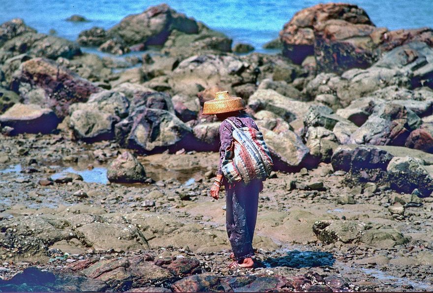 1996-07-009  - A Tanka woman strolls along the coast - fully loaded - - -