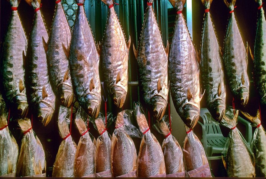 1996-07-072  - Fish drying -