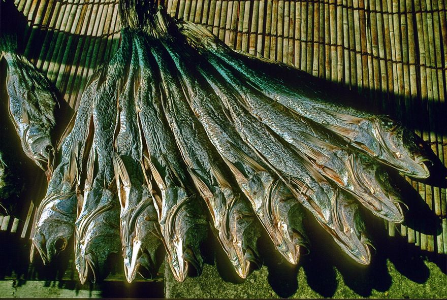 1996-07-o73  - Fish drying in Tai O -