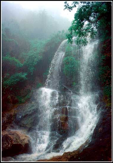 1996-38-021  - Hong kong's most famous waterfakk - - (Photo- and copyright:  Karsten Petersen)
