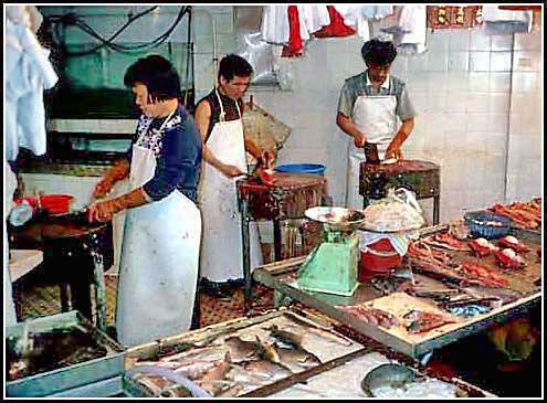 Fish shop - Hong Kong - date/place not known at the moment  - (Photo- and copyright:  Karsten Petersen)
