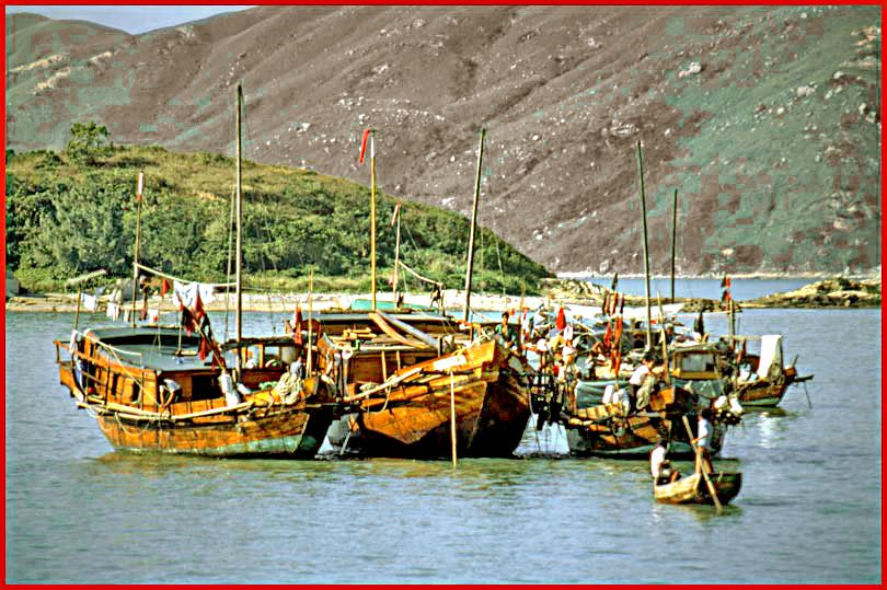 1973-48-21L  - Chinese Junks - moored off Peng Chau, - Hong Kong -, Nov.3.1976 - (Photo- and copyright: Karsten Petersen)