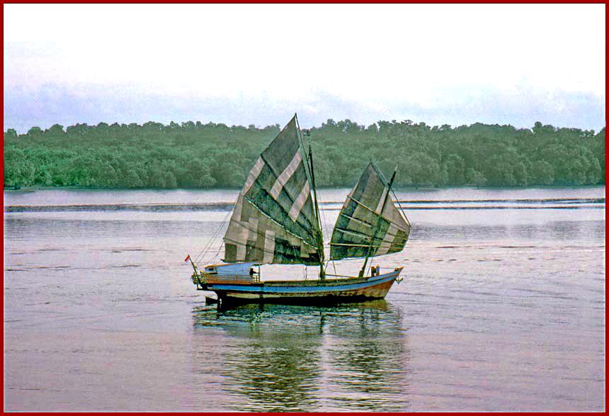 1985-13-041  - Junk - this one is a hybrid junk with typical Chinese rigging and rudder, but the hull is Indonesian - - photographed in Belawan, - Indonesia -, October 1985 - (Photo- and copyright: Karsten Petersen © )