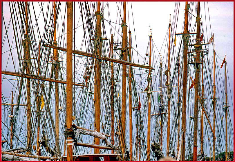 1992-08-044  - A forest of masts, - in 1992 - or is it in 1892?? - Fyn Rundt 1992 - (Photo- and copyright: Karsten Petersen )