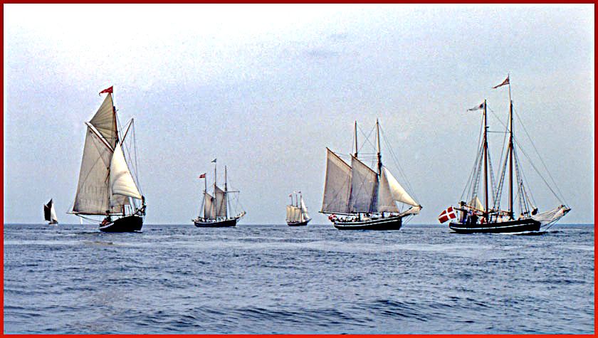 2004-04-056  - The fleet of old-timers enters Tragten in Lillebælt - - - (Photo- and copyright: Karsten Petersen)